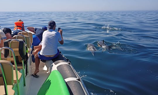 Avistamiento de delfines y recorrido por playas secretas en Sesimbra