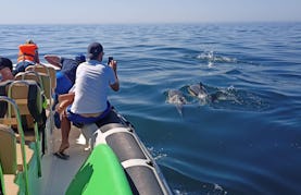 Dolphin Watching and Secret Beaches Tour in Sesimbra