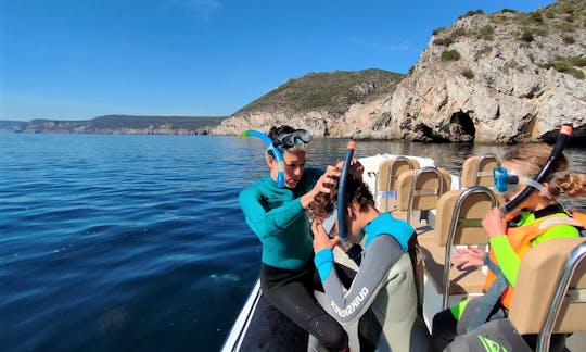 Dolphin Watching and Secret Beaches Tour in Sesimbra