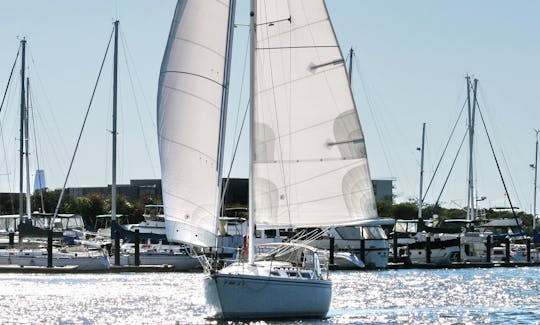 "Collette" sailing the estuary.