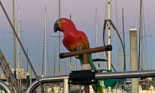 First-mate "Jimmy" ready to leave the dock for a great day of sailing