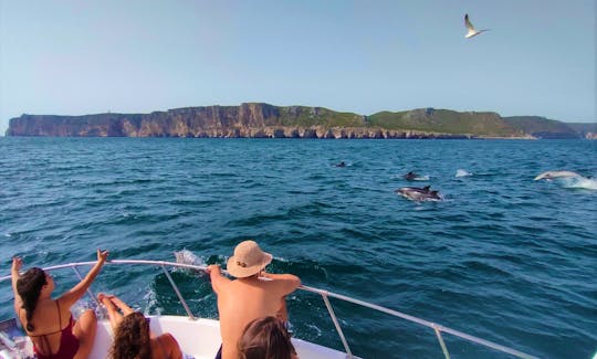 Exclusive Yacht Dolphin Watching Tour in Sesimbra