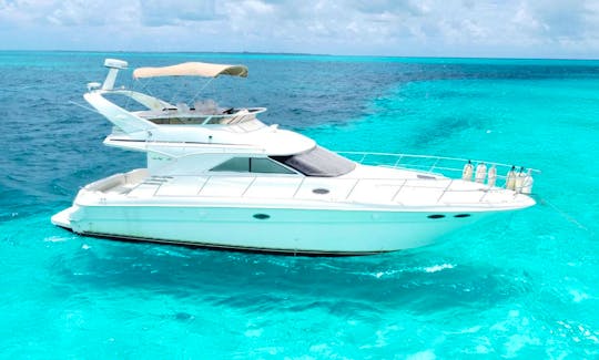 43 Sea Ray Fly Bridge Motor Yacht for Charter in Cancun