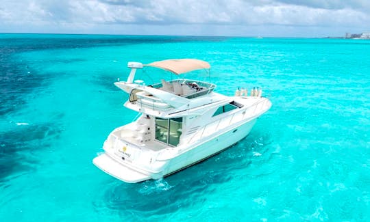 43 Sea Ray Fly Bridge Motor Yacht for Charter in Cancun, Mexico