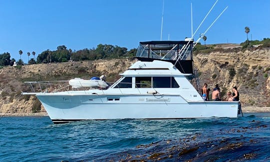 Charter this 45 ft Bertram Motor Yacht for up to12 People in Los Angeles , CA.