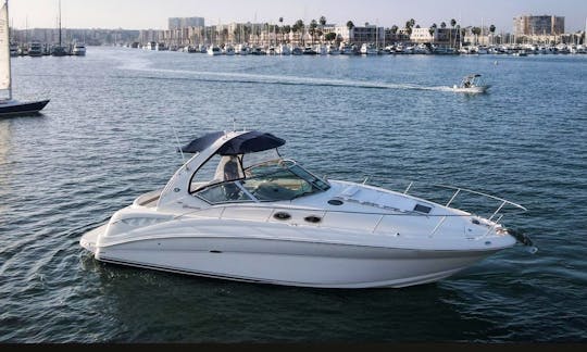 36” Luxury Sea Ray Sundancer Motor Yacht