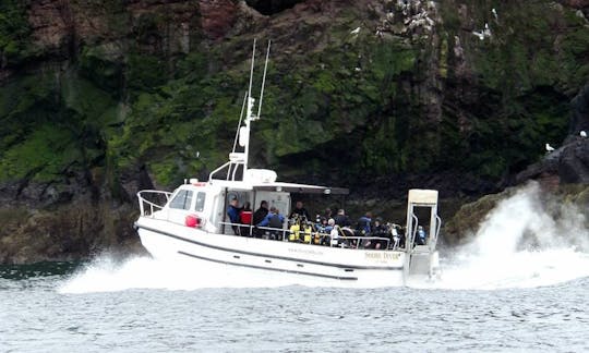 Trawler Diving Charter in Eyemouth, UK