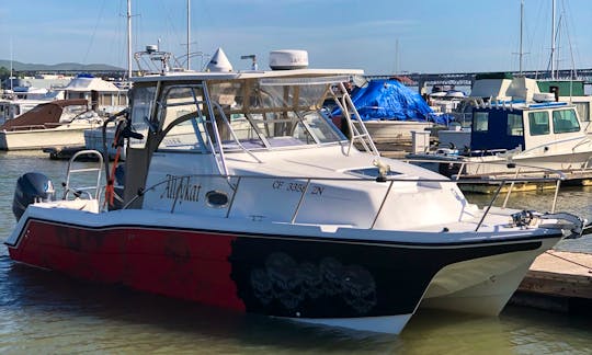 28' ProKat Catamaran with twin 140 hp Yamaha engine in Dana Point, California