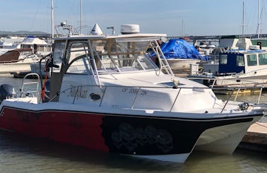 28' ProKat Catamaran with twin 140 hp Yamaha engine in Dana Point, California