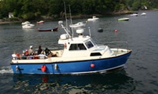 Stardust Boat Trips Portree, Isle of Skye