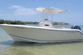 22ft Cobia Center Console in Siesta Key