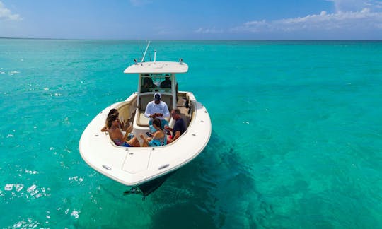 Snorkeling in Turks and Caicos Islands