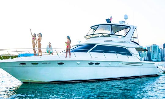 Sea Ray 54' Amazing Yacht!! Enjoy the Best in Miami, Florida.