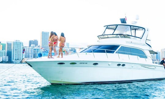 Sea Ray 55' Amazing Motor Yacht!! Enjoy the Best in Miami, Florida