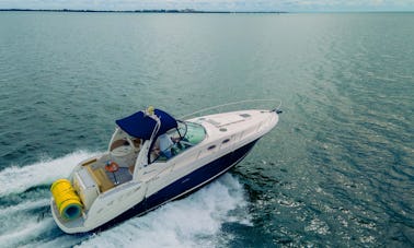 Incrível Sea Ray de 45 pés em Miami, Flórida!