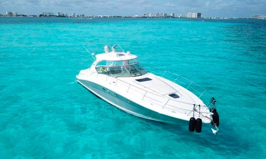 45' Sea Ray Motor Yacht in Cancún, Quintana Roo