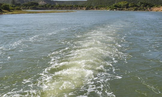 River cruise along the Sundays River