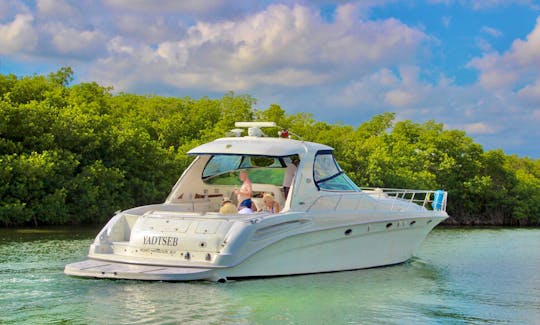 Exclusive Giant 60ft Sundancer Motor Yacht In Cancún, Quintana Roo