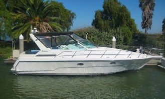 Toronto Yacht Charters - 40 Foot Express Cruiser!  Weekday specials