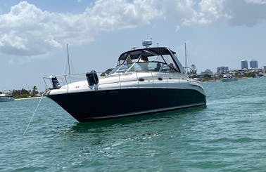 Sea Ray 38ft best yacht rental in Miami for up to 10 people