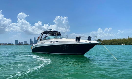 Sea Ray 38ft best yacht rental in Miami for up to 10 people