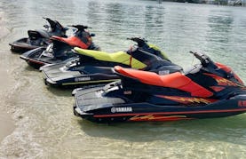 Yamaha EX Deluxe Jetskis in Key Biscayne, Hollywood, Miami beach