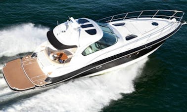 10 Person Motor Yacht for charter on Miami River