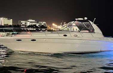 Enjoy Miami In Sea Ray Sundancer 42ft Motor Yacht!!!