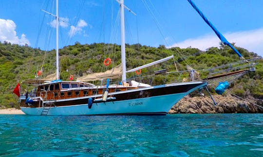 "Techne" Bodrum Comfortable Gulet up to 18 passengers