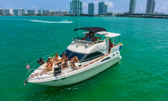 Incredible Sea Ray 47' 🛥 Charter in Miami Beach!!