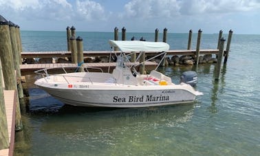 Console centrale Cobia 19.4 ! Bateau parfait pour la pêche, la plongée en apnée et la croisière.