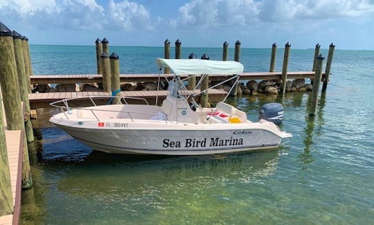 Cobia 19.4 CC
Where ever the fish are biting in the bay or reef you'll be able to get there in our 19.4 foot Cobia center console boat with a 115 hp Y