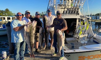 Chesapeake Bay Rock Fishing Trip for 6 people with Captain Doug
