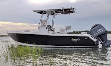 Sea Hunt 211 Ultra Boat for Rent in Beaufort, NC