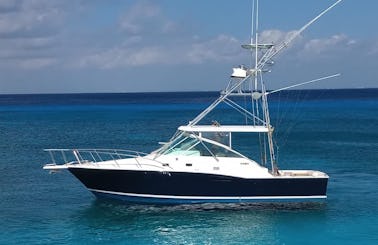 Excellent CABO Boat 35ft in Cozumel !!!