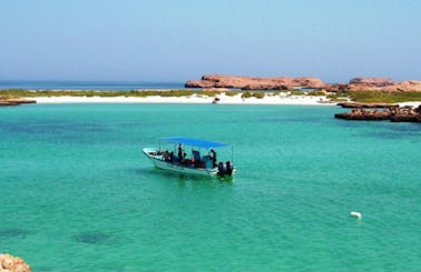 Dimaniyat Island Cruise in Muscat, Oman