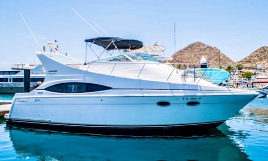 38ft Carver Motor Yacht Rental in Cabo San Lucas, Baja California Sur