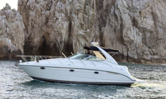 38ft Sea Ray Maxum Scr Motor Yacht Rental in Cabo San Lucas, Baja California Sur