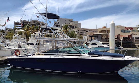 Sea Ray 31ft Yacht for rent in Cabo San Lucas
