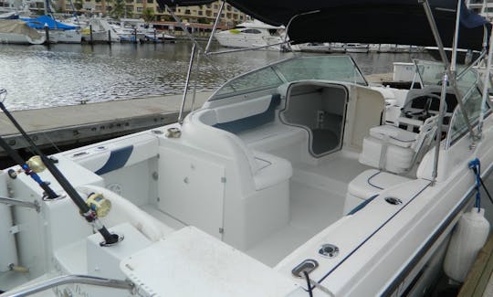 Lovely Glacier Bay 26' Catamaran Cruiser in Puerto Vallarta