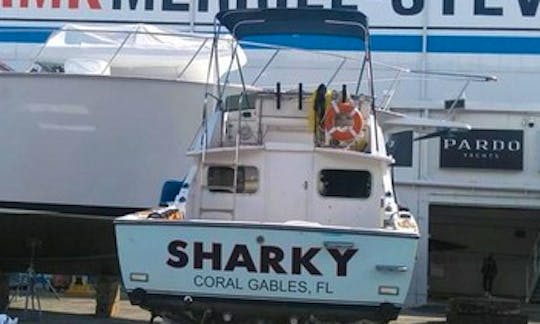 "SHARKY" Bertram 28 Flybridge