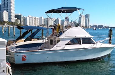 "SHARKY" Bertram 28 Flybridge Motor Yacht Rental in Miami, FL