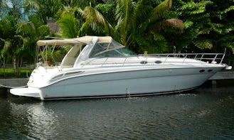 See Seattle from this 40ft SeaRay