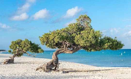 Book the Center Console Speedboat with Captain Included in Noord, Aruba