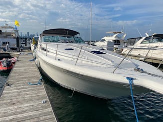 Luxueux yacht Sea Ray Sun de 47 pieds - Découvrez le lac Michigan comme une expérience ultime