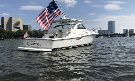 See the City as it is meant to be seen. From the Harbor!