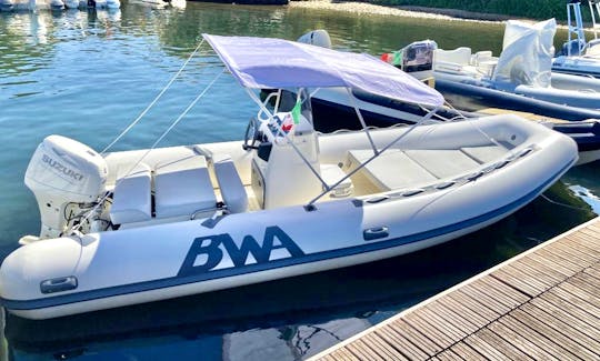 Bwa 550 With 40/60Hp New model 2020!

No license necessary.