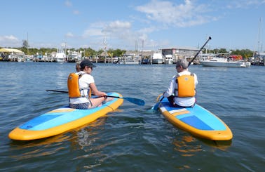 3-Hour Stand-up Paddleboard Rental in Fort Myers, Florida!