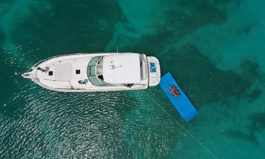 Searay 51' Sundancer Yacht with Captain & Crew in Fajardo Area