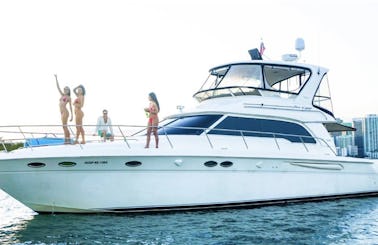 🔥 Sea Ray Sedan 50ft || 🎉 ASK FOR THE FREE HOUR🎉